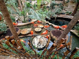 Aquarium features species from around world