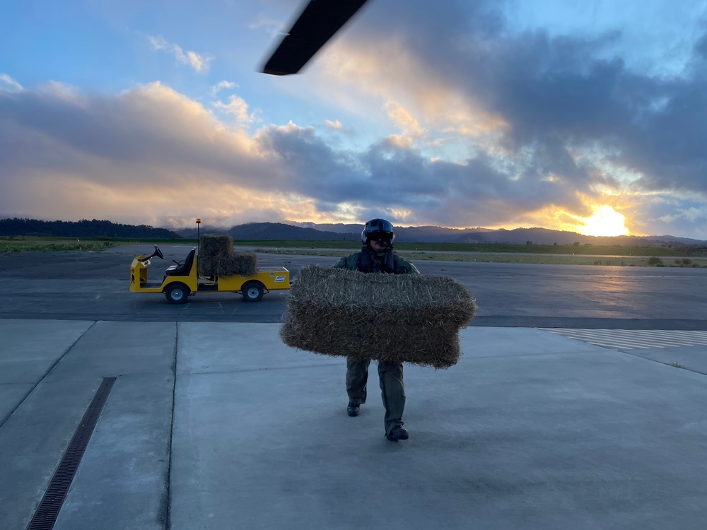 Coast Guard assists local ranchers during agency assist