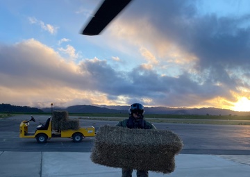 Coast Guard assists local ranchers during agency assist