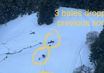 Coast Guard assists local ranchers during agency assist