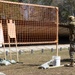 Marine Corps Marksmanship Competition East – Day Eight / Individual Competitions