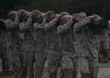 Charlie Company Log Drills