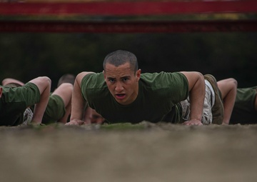 Charlie Company Log Drills