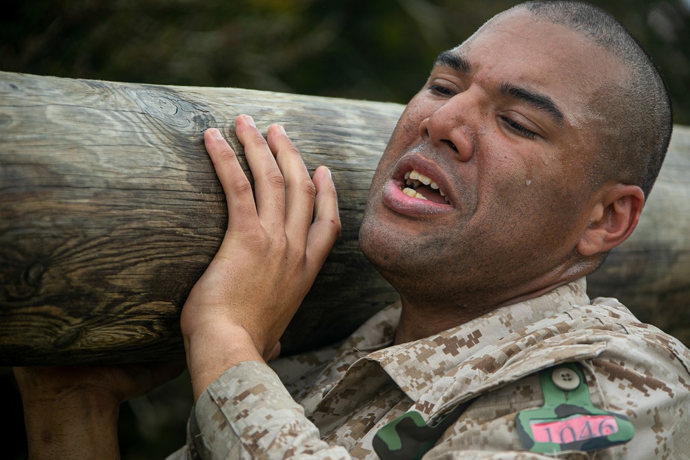 Charlie Company Log Drills