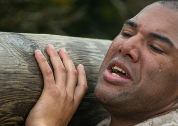 Charlie Company Log Drills