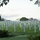 DPAA Continues Philippines Disinterment Project