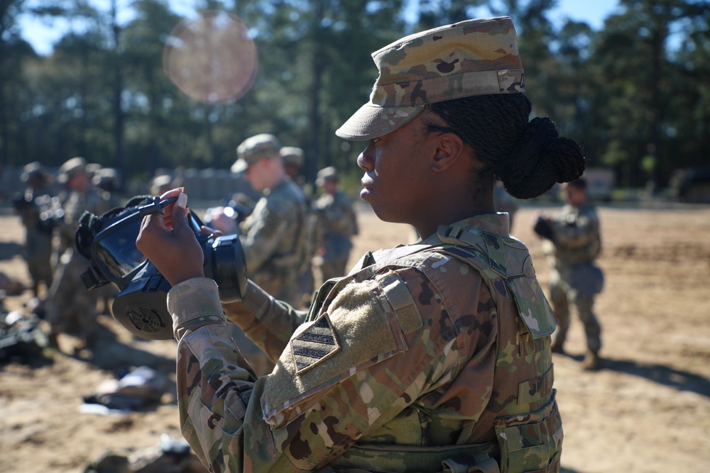 Division Sustainment Troops Battalion holds training exercise to hone skills, readiness