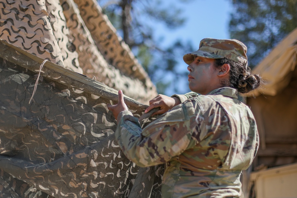 Division Sustainment Troops Battalion hold field exercise to hone skills, readiness