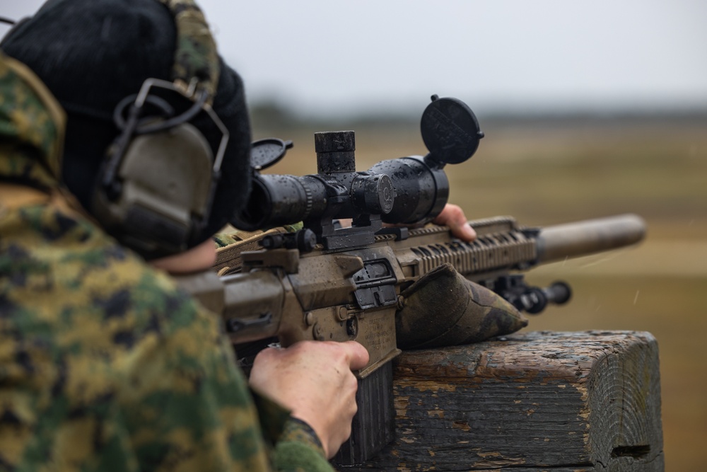 Dutch Marines train on a sniper range with 2d Recon