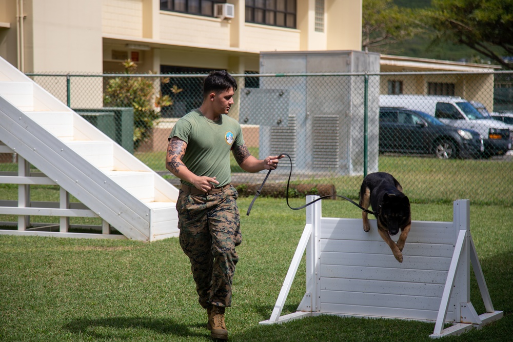 Military working dog demonstration for DEFY, MCBH