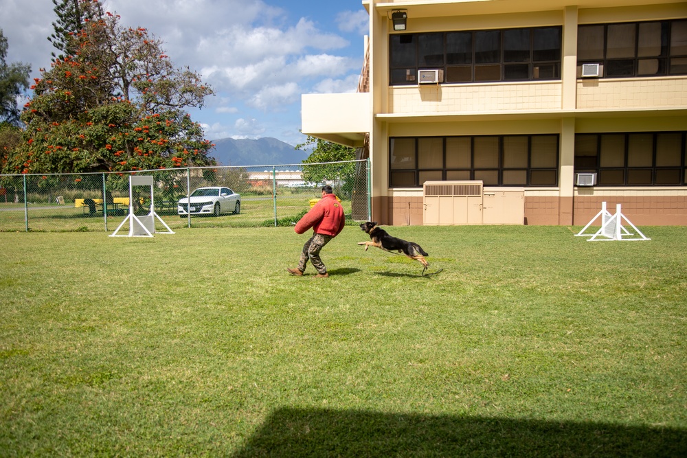 Military working dog demonstration for DEFY, MCBH