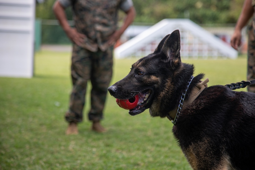 Military working dog demonstration for DEFY, MCBH