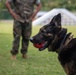 Military working dog demonstration for DEFY, MCBH