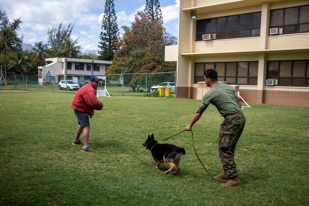 Military working dog demonstration for DEFY, MCBH