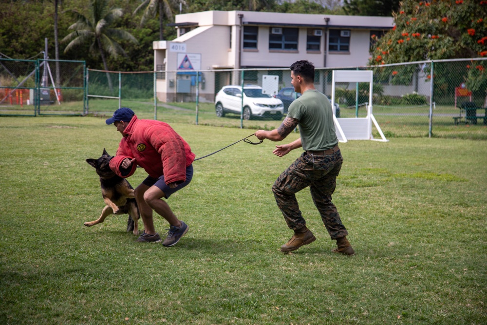 Military working dog demonstration for DEFY, MCBH