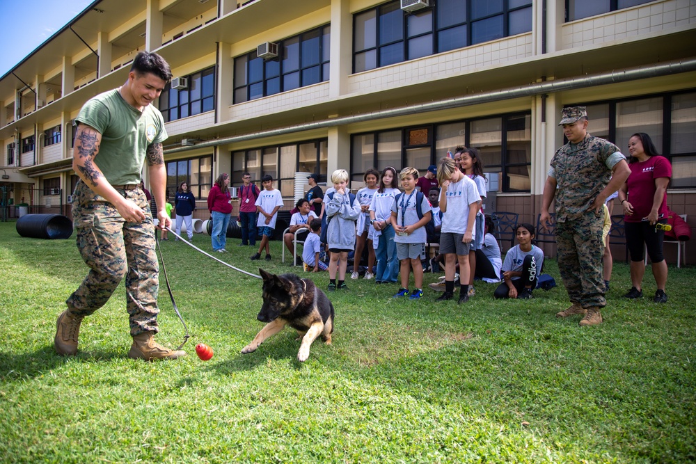 Military working dog demonstration for DEFY, MCBH