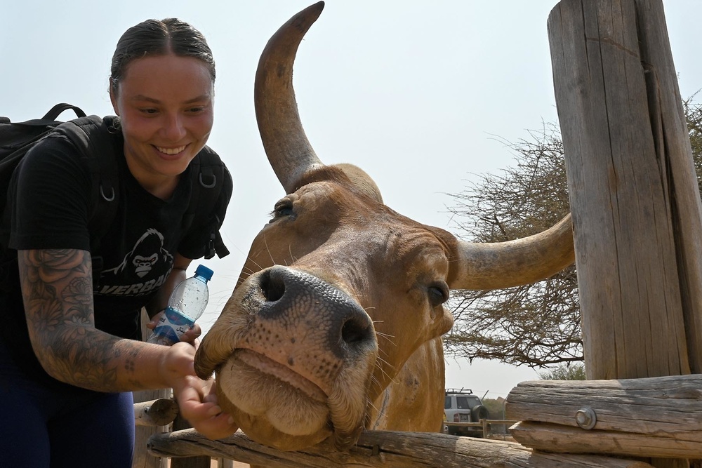 Five Countries Run 10K in Cross du Refuge Décan to Raise Money for Local Wildlife Refuge