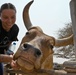 Five Countries Run 10K in Cross du Refuge Décan to Raise Money for Local Wildlife Refuge