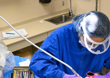 Children's Dental Day at Ellsworth