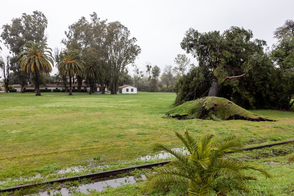 Storm causes trees to fall at Pendleton ranch house