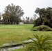 Storm causes trees to fall at Pendleton ranch house