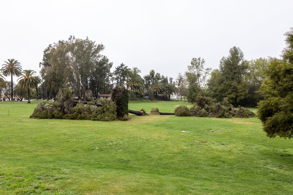 Storm causes trees to fall at Pendleton ranch house