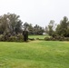 Storm causes trees to fall at Pendleton ranch house