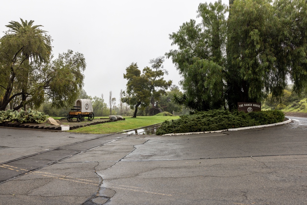 Storm causes trees to fall at Pendleton ranch house