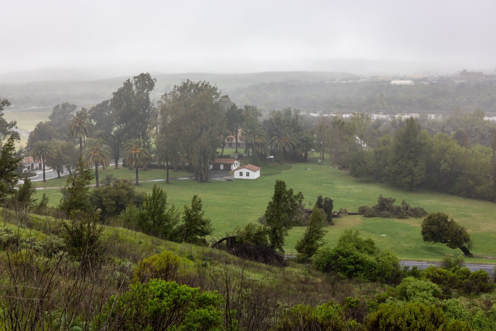 Storm causes trees to fall at Pendleton ranch house