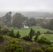 Storm causes trees to fall at Pendleton ranch house