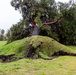 Storm causes trees to fall at Pendleton ranch house