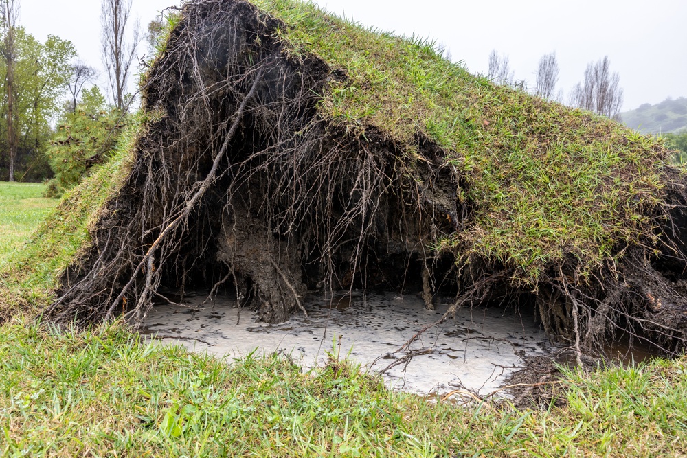 Storm causes trees to fall at Pendleton ranch house