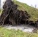 Storm causes trees to fall at Pendleton ranch house