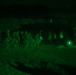 Warrior Shield Nighttime Air Assault Training