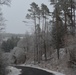 Freezing fog over Hohenfels