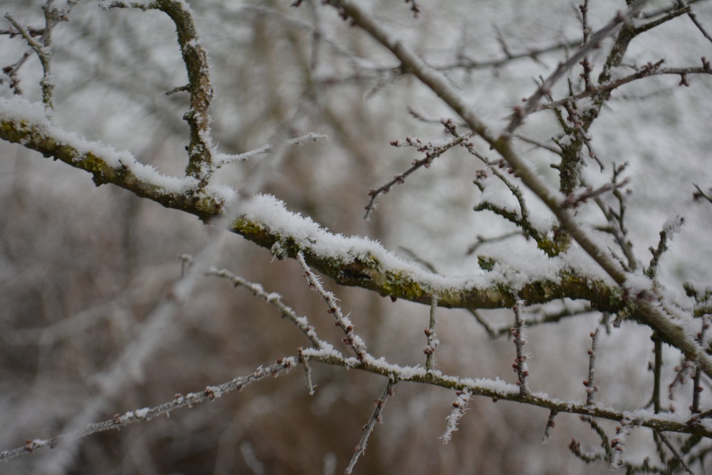Freezing fog over Hohenfels