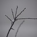 Freezing fog over Hohenfels
