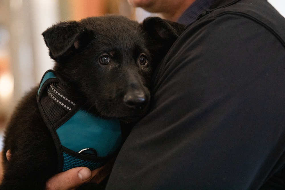 CT Guard Working Dog Detachment Honored During K9 Veterans Day