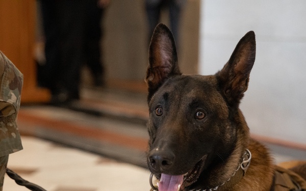 CT Guard Working Dog Detachment Honored During K9 Veterans Day
