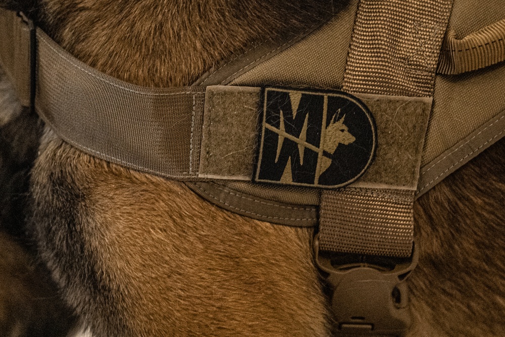 CT Guard Working Dog Detachment Honored During K9 Veterans Day