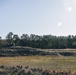 U.S. Marines with Combat Logistics Battalion 24 Conduct Combat Vehicle Operations Training