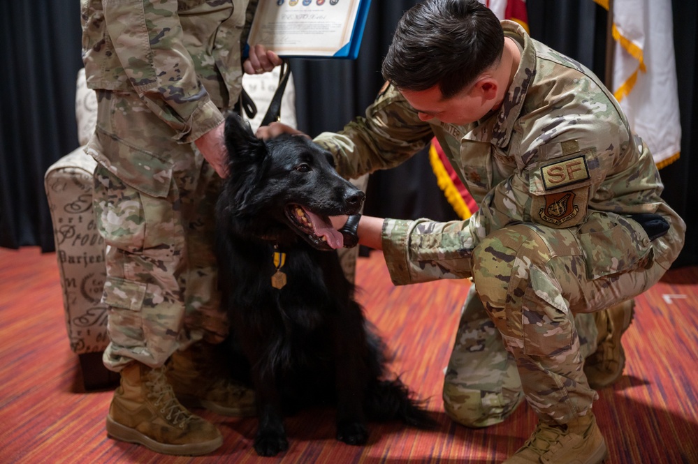 Military Working Dog Cento Retires after Eight Year of Service