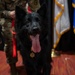 Military Working Dog Cento Retires after Eight Year of Service