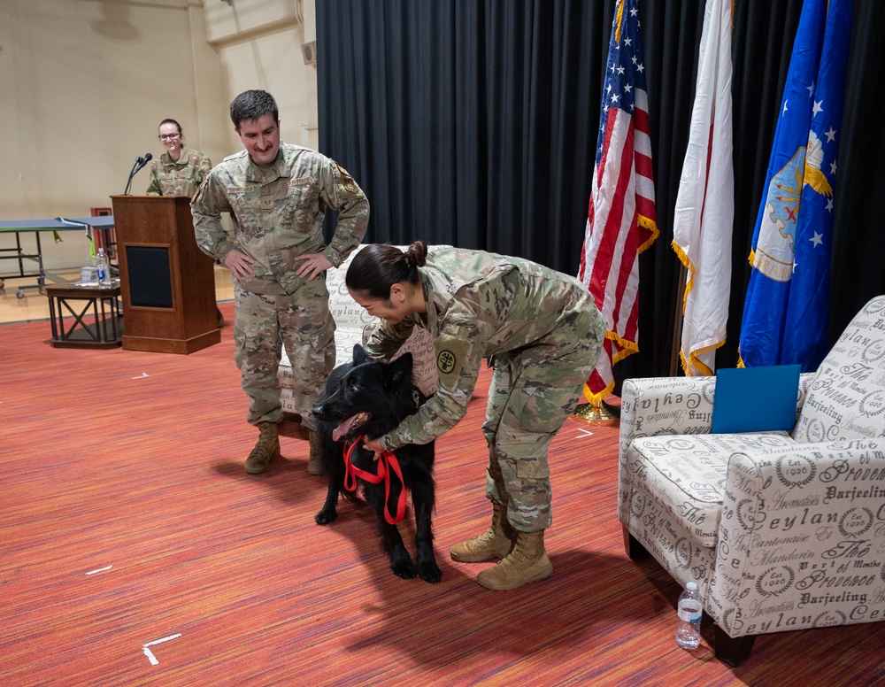 Military Working Dog Cento Retires after Eight Year of Service