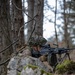 173rd Airborne Brigade conducts blank-fire and tactical movement training in Slovenia