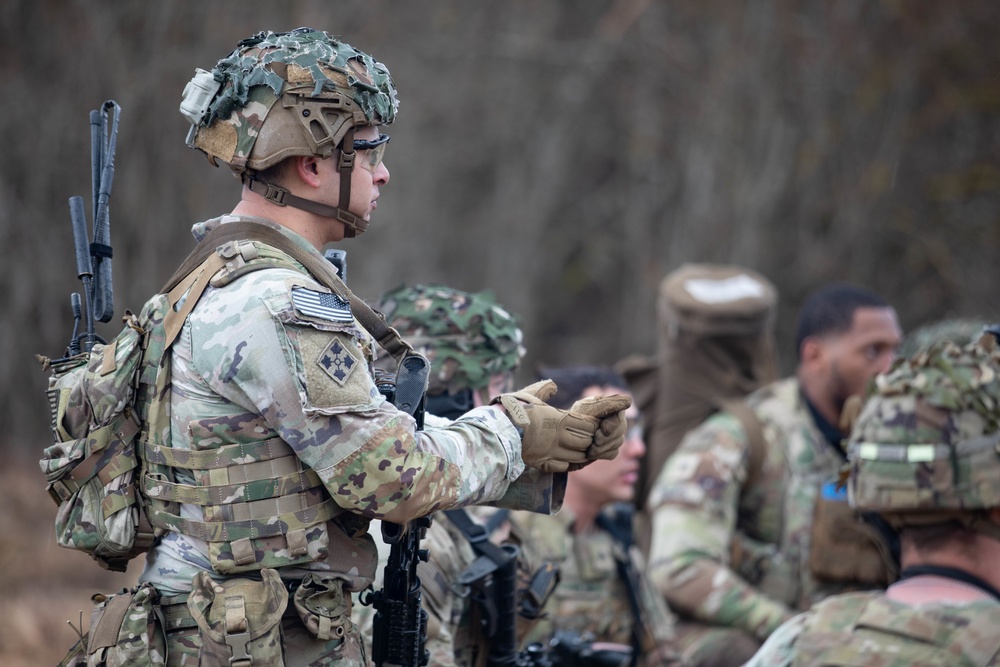 173rd Airborne Brigade conducts blank-fire and tactical movement training in Slovenia