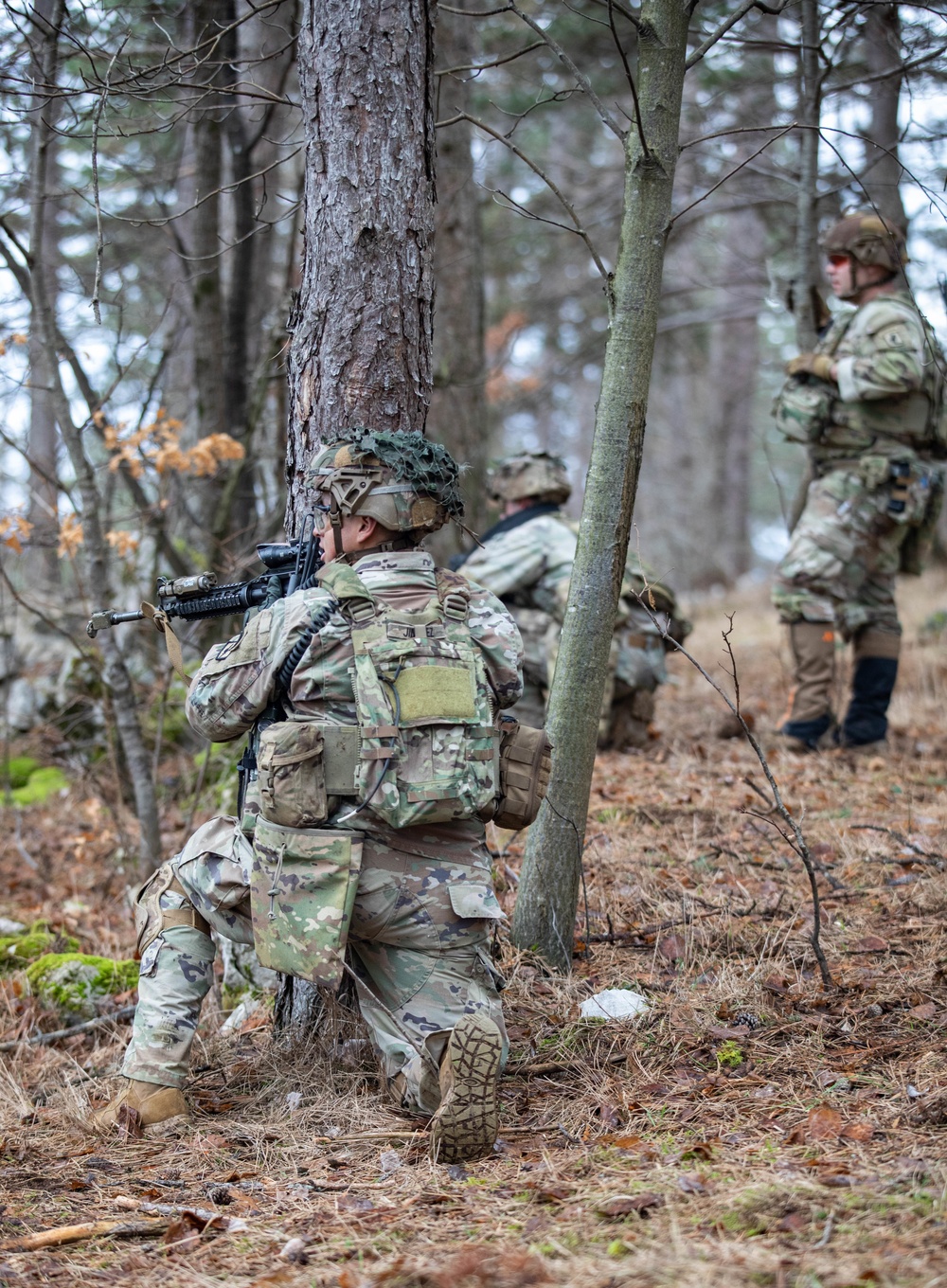 173rd Airborne Brigade conducts blank-fire and tactical movement training in Slovenia