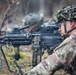 173rd Airborne Brigade conducts blank-fire and tactical movement training in Slovenia