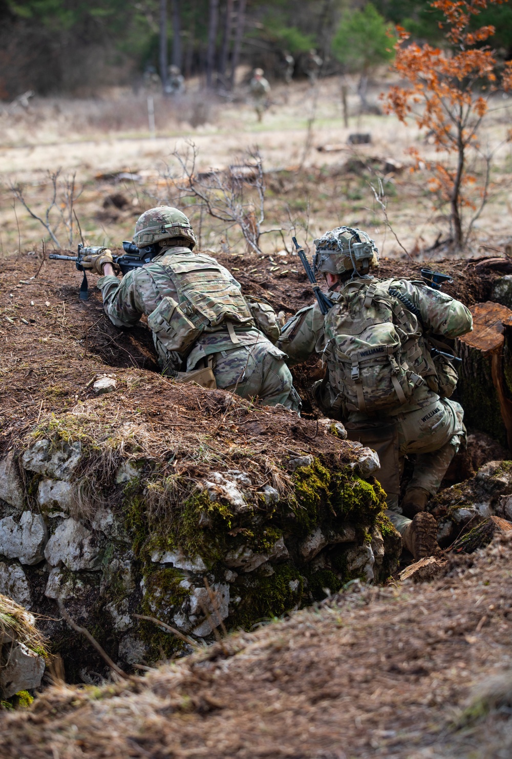 173rd Airborne Brigade conducts live-fire and tactical movement training in Slovenia