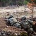 173rd Airborne Brigade conducts live-fire and tactical movement training in Slovenia